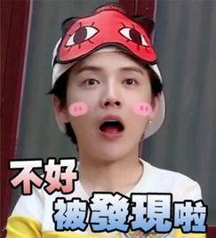 鹿晗恶趣味表情包