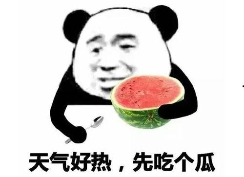 表情吃瓜是啥意思啊